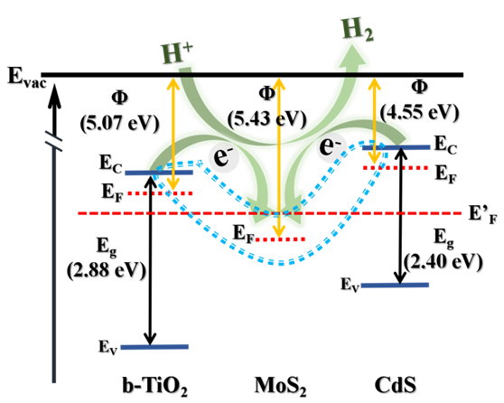Figure S11